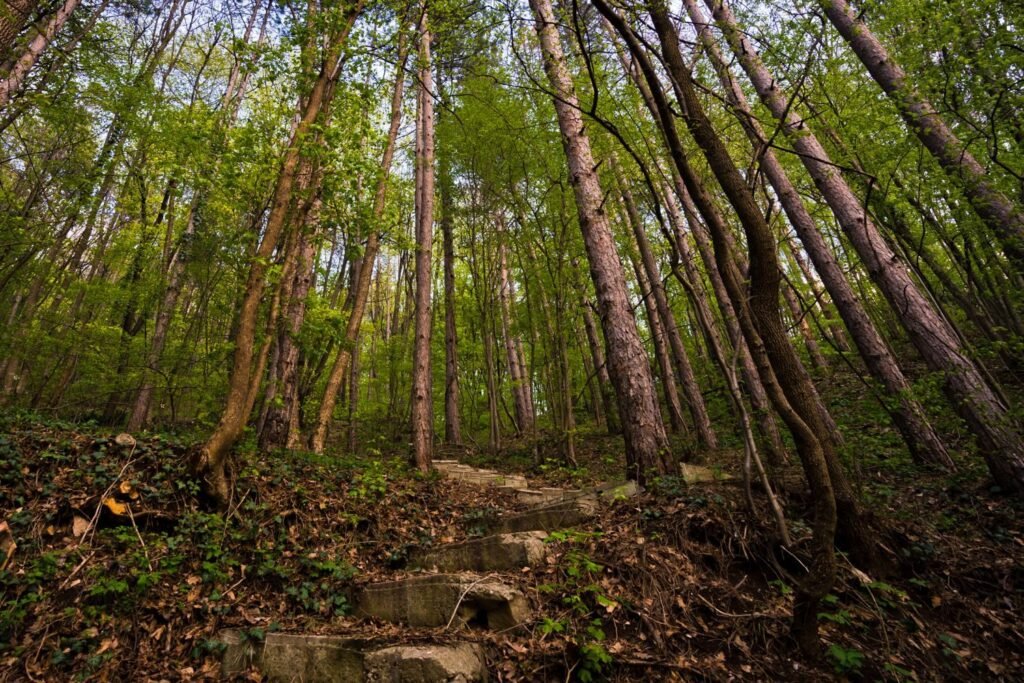 Wandelen in het buitengebied van Roermond