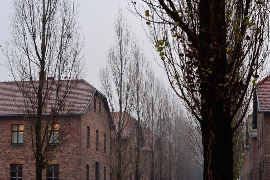 Wonen in het Roermondse Veld en Vrijveld